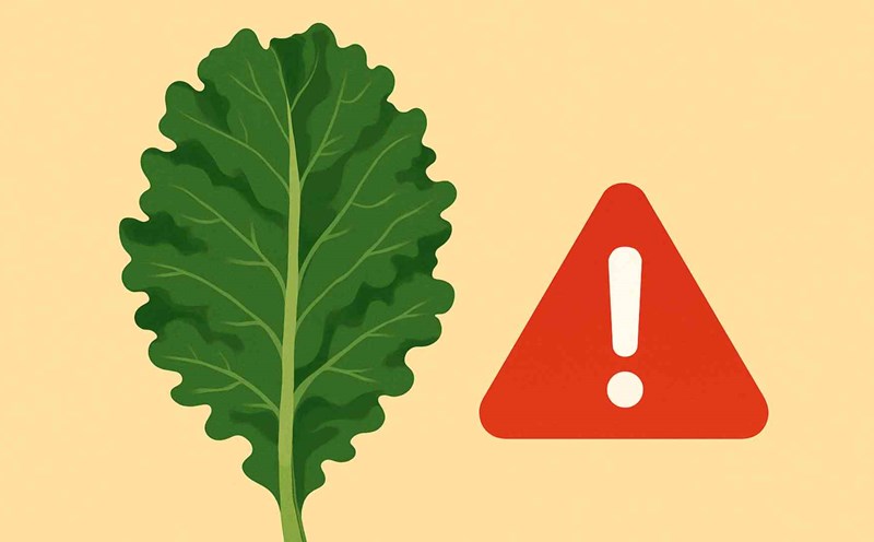 This vegetable can increase liver enzymes if eaten incorrectly. Graphic photo: Thai Anh