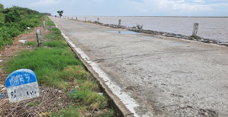 Ca Mau 省 Da Bac 村に属する Tay 海岸堤防も、森林がなくなったため、高い地滑りの危険性に直面しています。写真: Nhat Ho