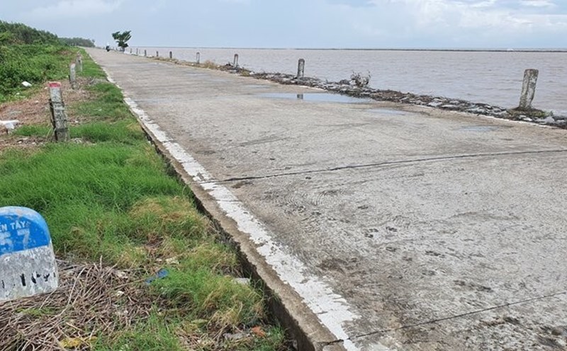 The Tay Sea dike, in Da Bac commune, Ca Mau province, is also at high risk of landslides due to no more forests. Photo: Nhat Ho