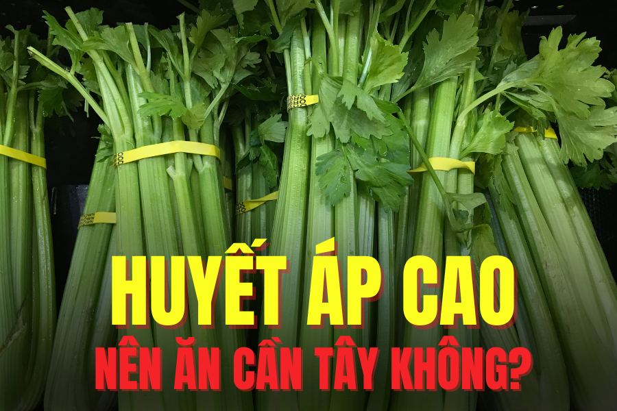 Celery is good for people with high blood pressure thanks to its rich vegetable and potassium compounds. Graphics: Tra My
