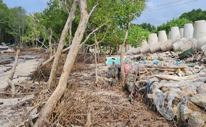At the beginning of the rainy and stormy season, Ca Mau has landslides and subsidence in many places
