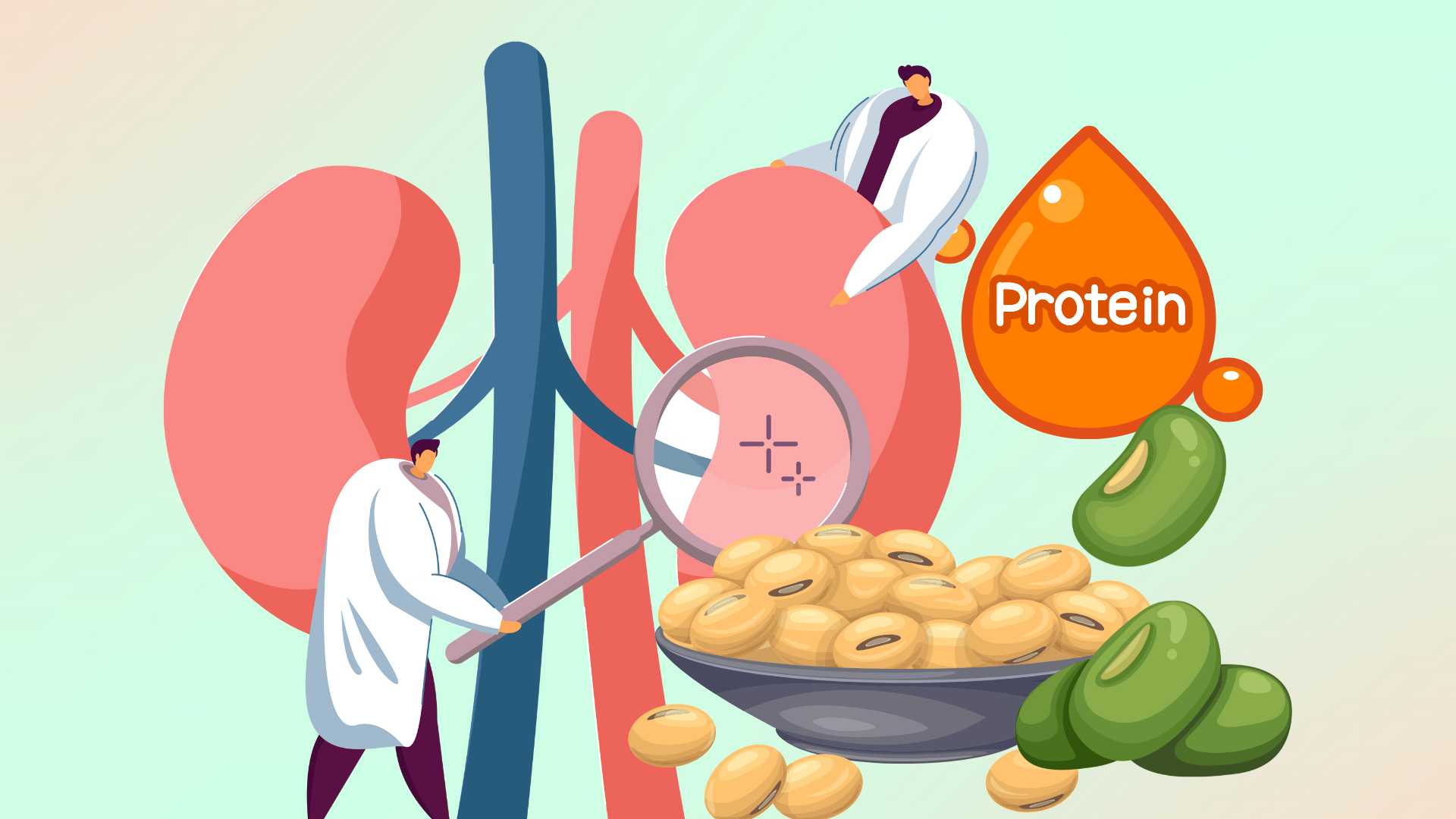 Tips for good dames, keep your kidneys healthy every day