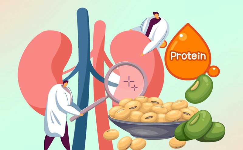 Tips for good dames, keep your kidneys healthy every day