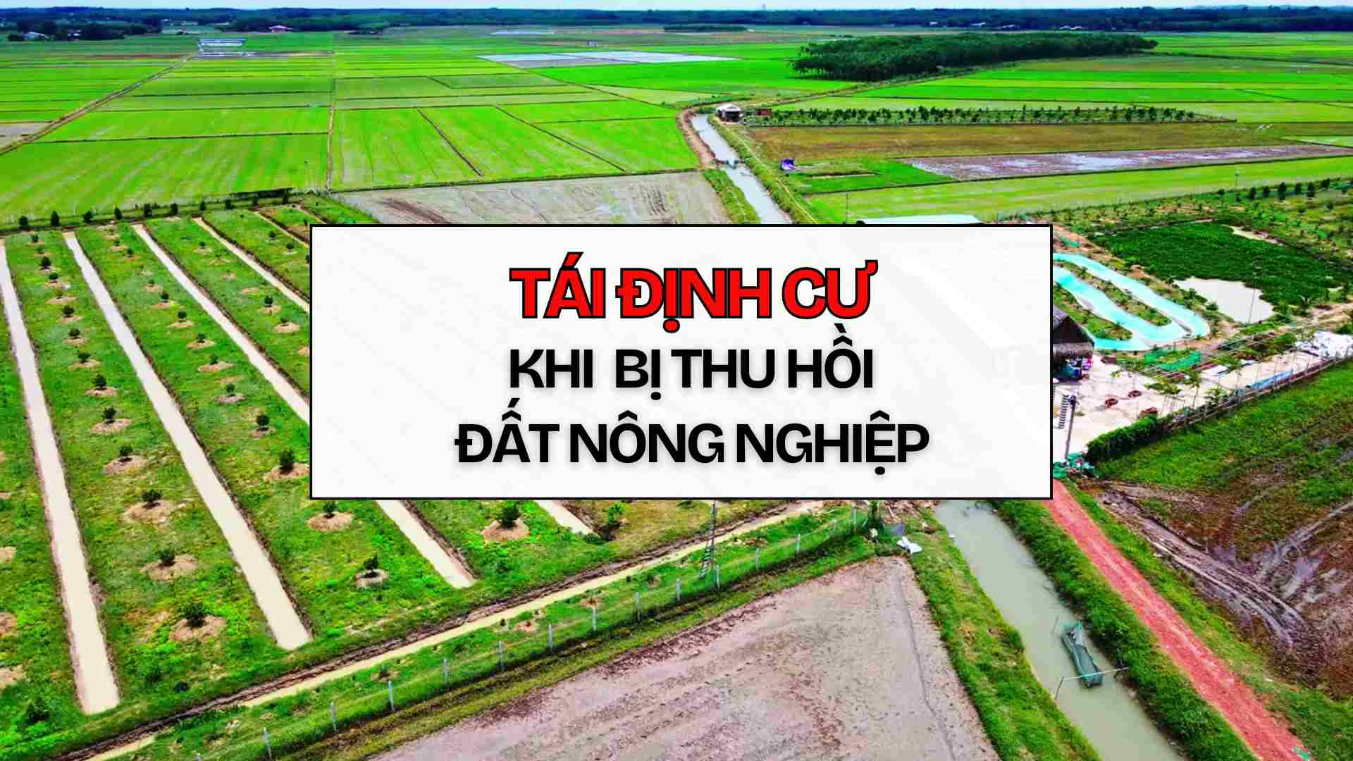 Regulations on resettlement for people when agricultural land is recovered. Graphics: Thach Lam