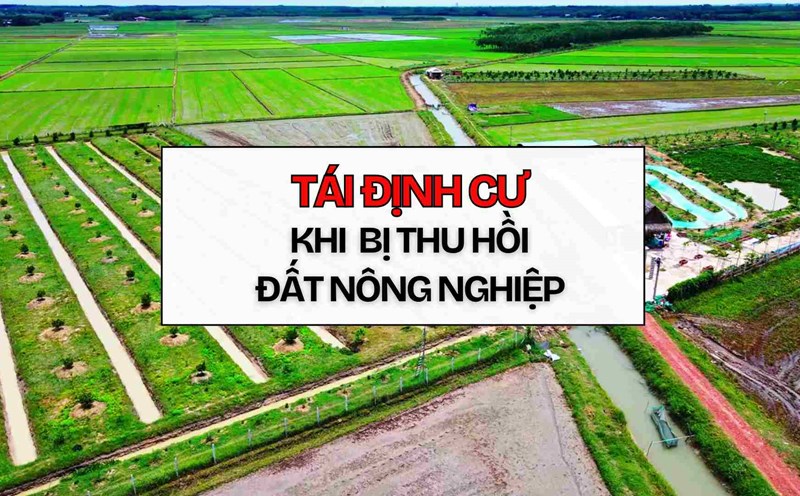 Regulations on resettlement for people when agricultural land is recovered. Graphics: Thach Lam