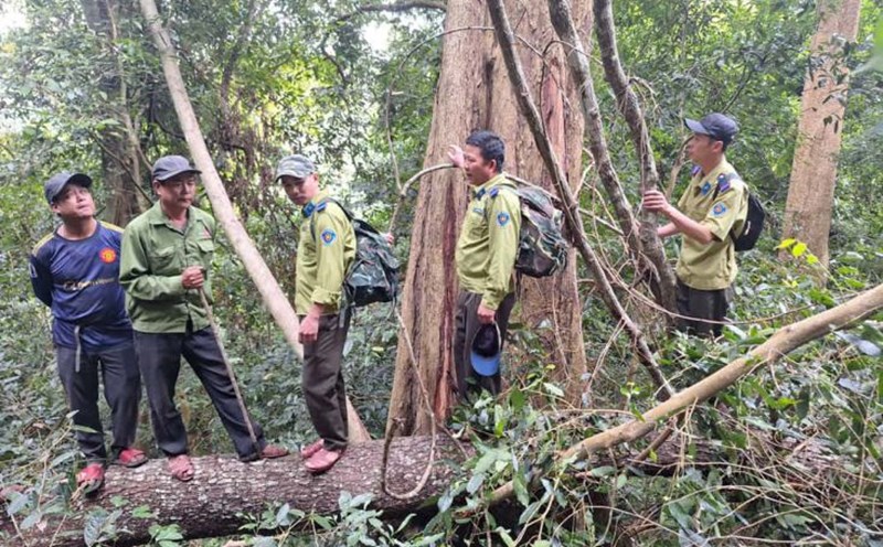 Forest protection team on duty in Gia Lai. Photo: THANH TUAN