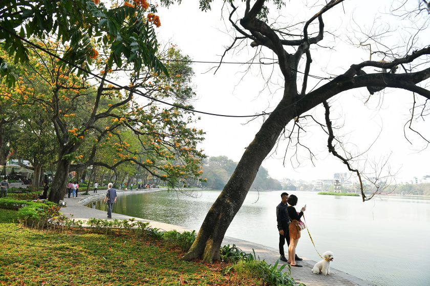 Go Guom is beautiful all year round. Photo: Viet Van