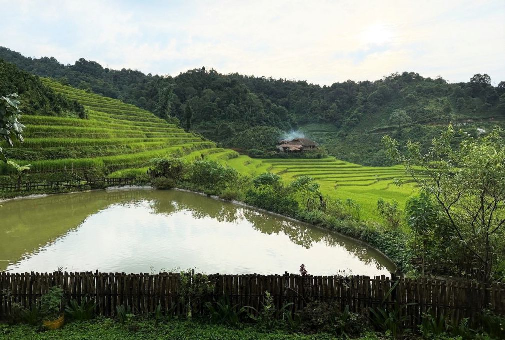 Green summer seen from a Ban Lien homestay. Photo: Do Ngoc Phuc