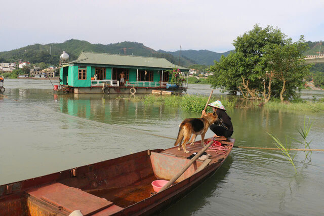 Nguoi dan phai dung cong viec hang ngay de canh be ca, canh thuyen vi so thuyen, be troi mat.