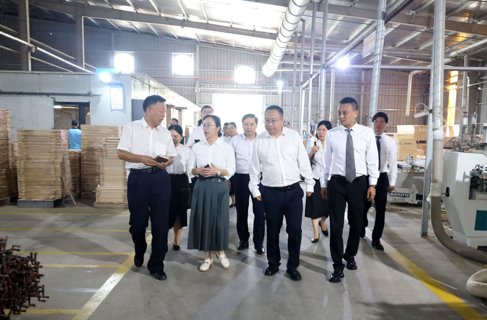 Doan dai bieu huyen Ha Khau tham quan Khu cong nghiep phia Nam. Anh: Van Duc