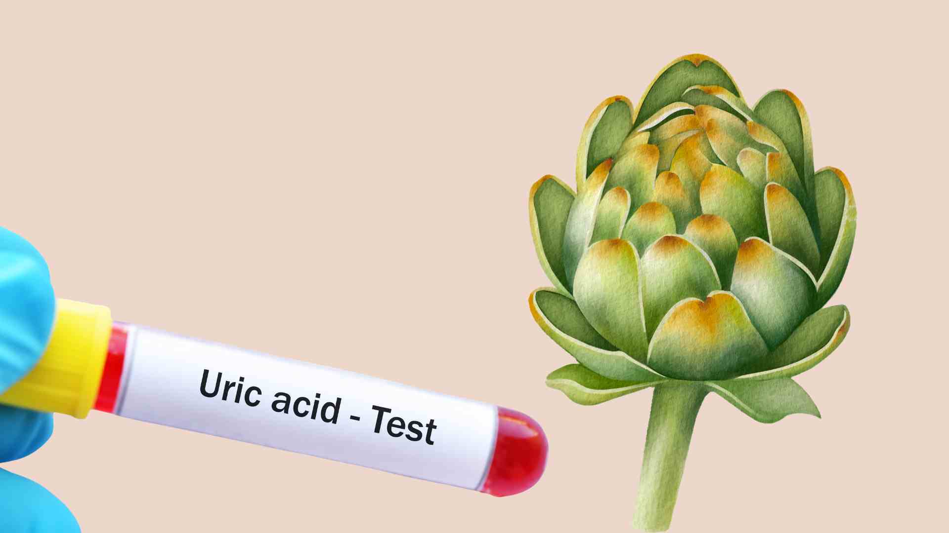 食事にアチソを補給することは、尿酸の蓄積を減らすのに役立つ健康的な選択肢です。写真:タイ・アン