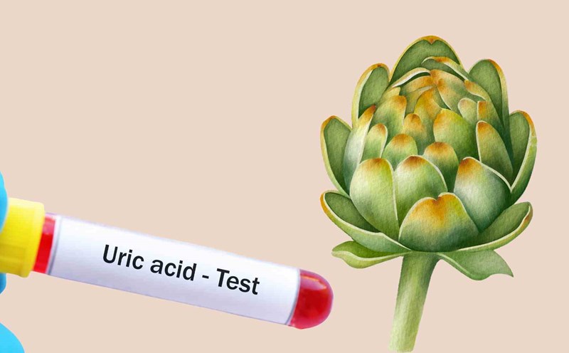 Adding artichokes to your diet is a healthy choice that helps reduce uric acid accumulation. Graphic photo: Thai Anh