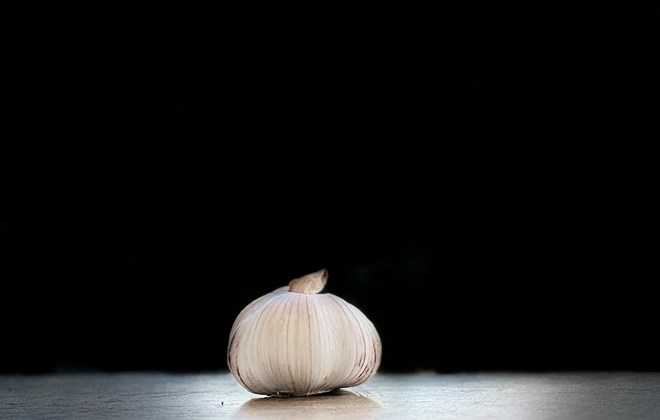 Garlic is a familiar spice that naturally has the effect of lowering liver enzymes. Photo: Quang Minh.