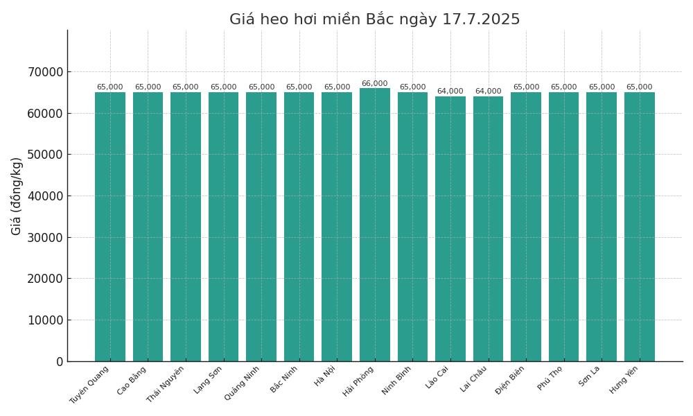 Gia heo hoi ngay 17.7 tai khu vuc mien Bac. Do hoa: Thuy Linh