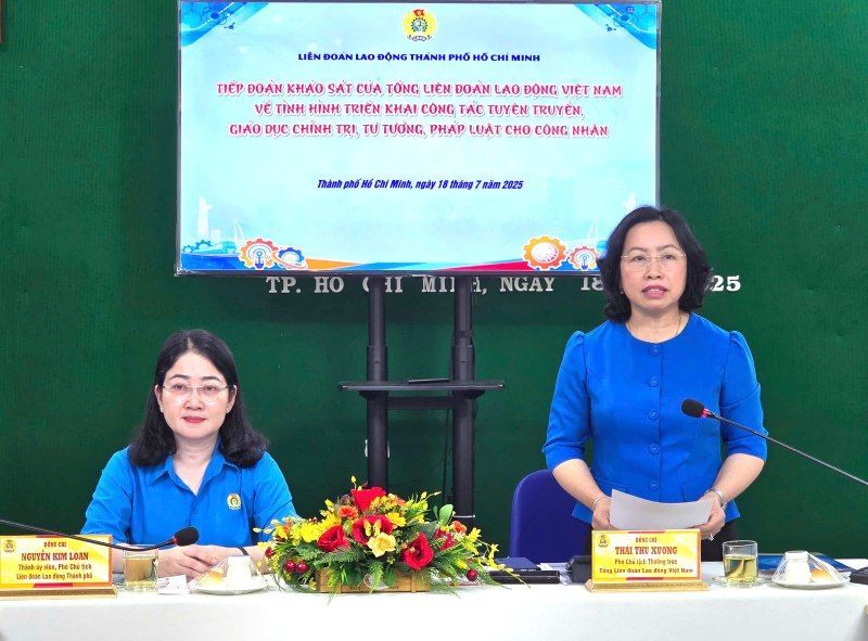 ベトナム労働総同盟副総局長のタイ・トゥー・スオン(立っている)が調査会で発言。写真:ナムズオン