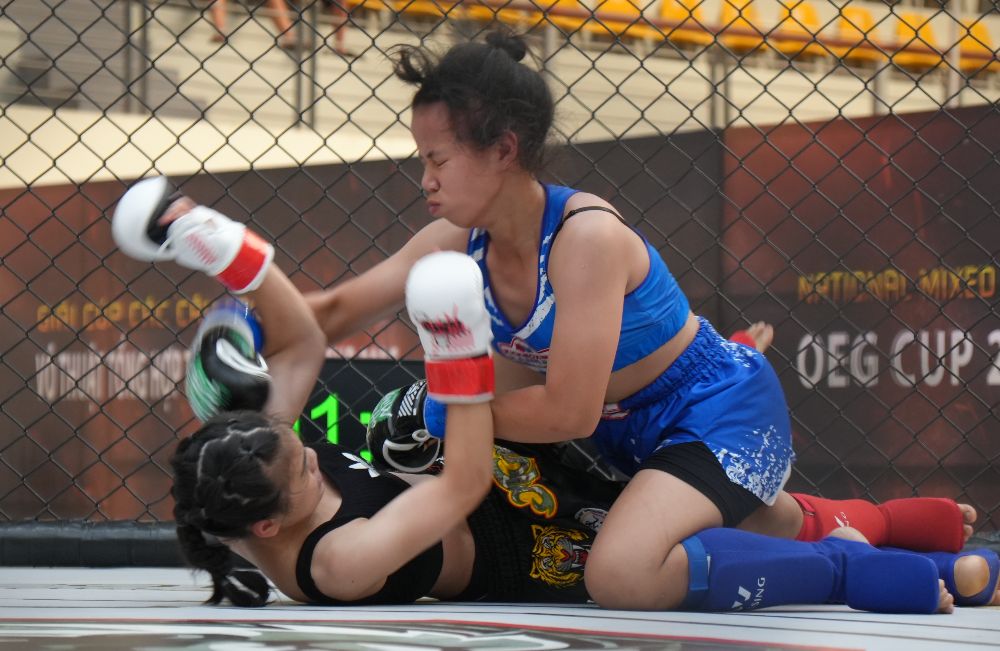 약 200명의 선수들이 2025년 전국 종합 무술 클럽 컵에서 경쟁합니다. 사진: MMA