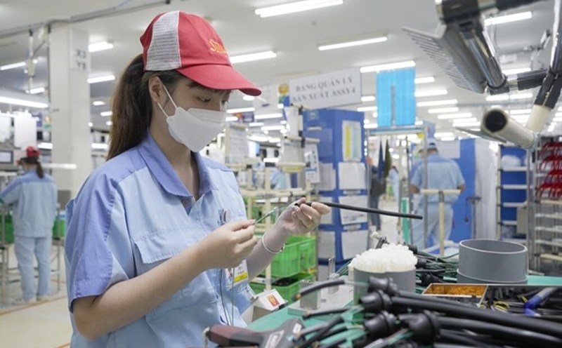Add cases where civil servants are established, managed, and contribute capital to enterprises. Photo: Kieu Vu.