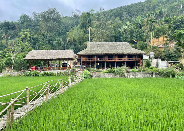 Nghia Do hien da co hang chuc homestay dang hoat dong, moi ngay co the phuc vu hon 500 luot du khach toi tham quan va nghi lai. Anh: Bich Quyen