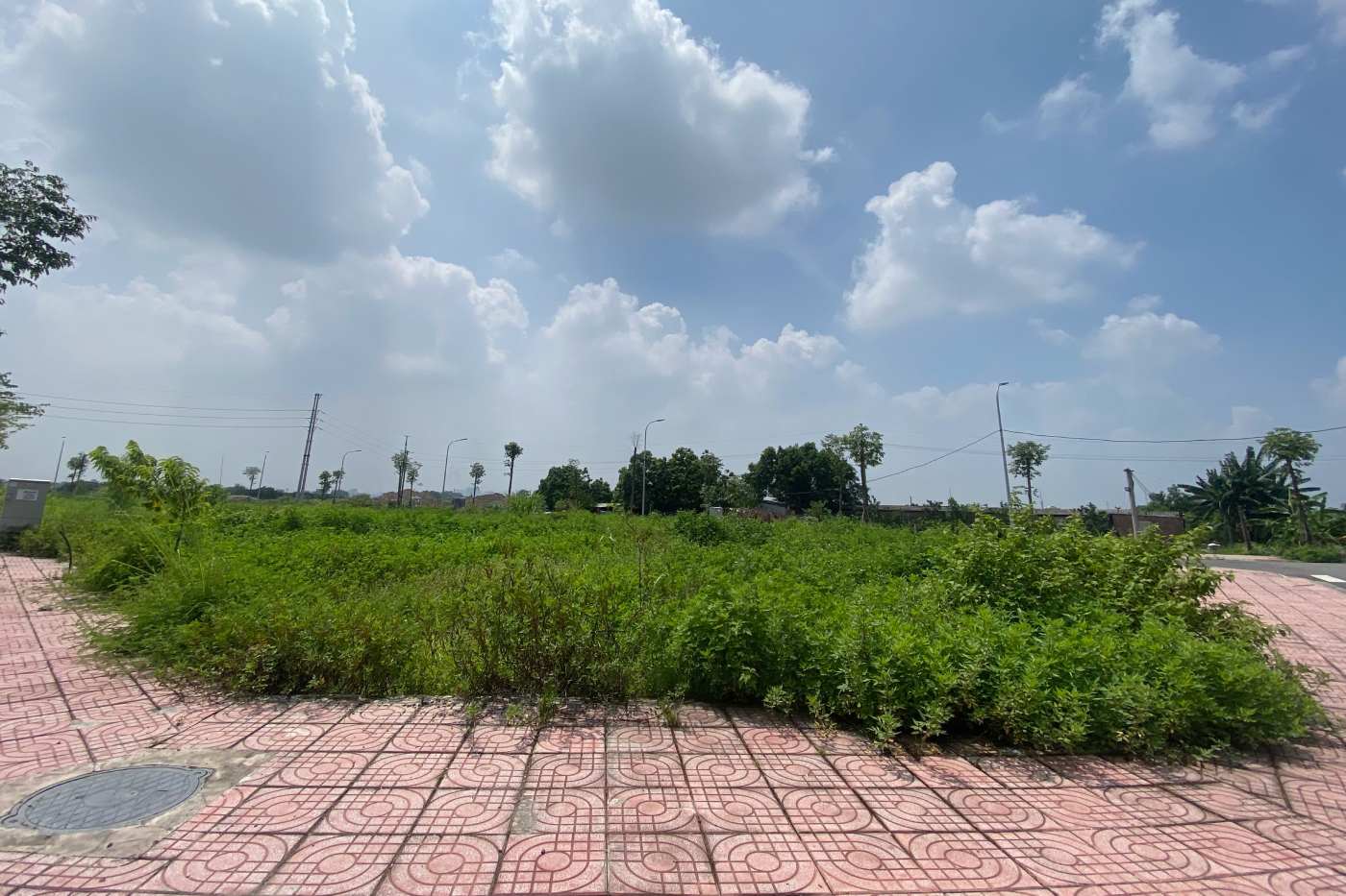 2026年から、土地補償金は市場に近い具体的な土地価格に基づいて計算されます。写真:Nhu Ha