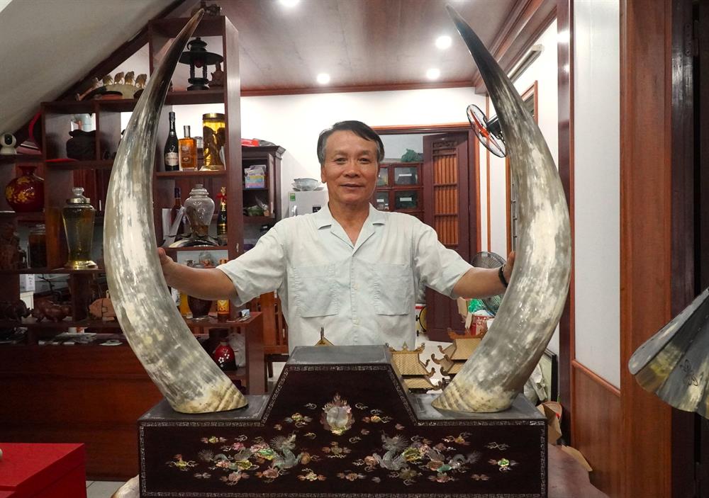 Artisan Nguyen Van Su with a pair of cow horns worth more than 30 million VND. Photo: Yen Van