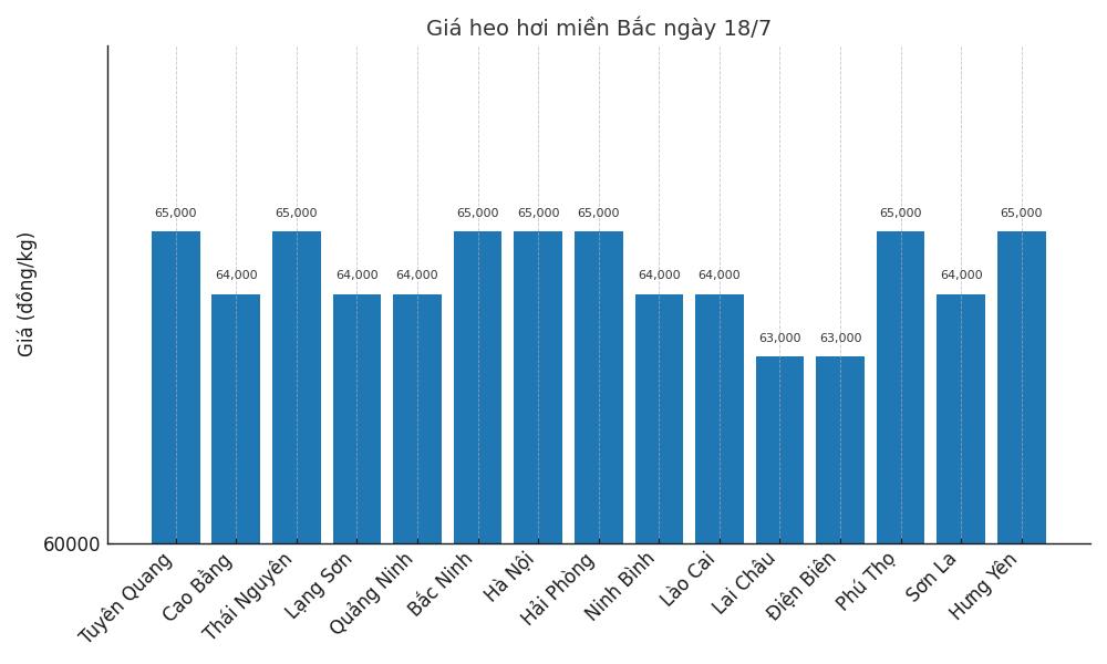 Gia heo hoi ngay 18.7 tai khu vuc mien Bac. Do hoa: Thuy Linh