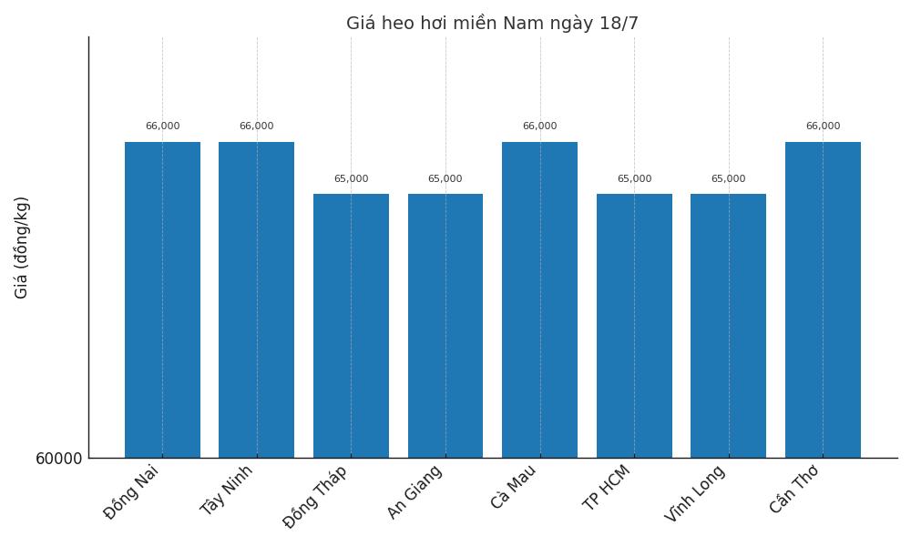 Gia heo hoi ngay 18.7 tai khu vuc mien Nam. Do hoa: Thuy Linh
