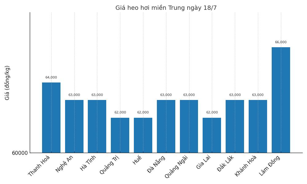 Gia heo hoi ngay 18.7 tai khu vuc mien Trung. Do hoa: Thuy Linh