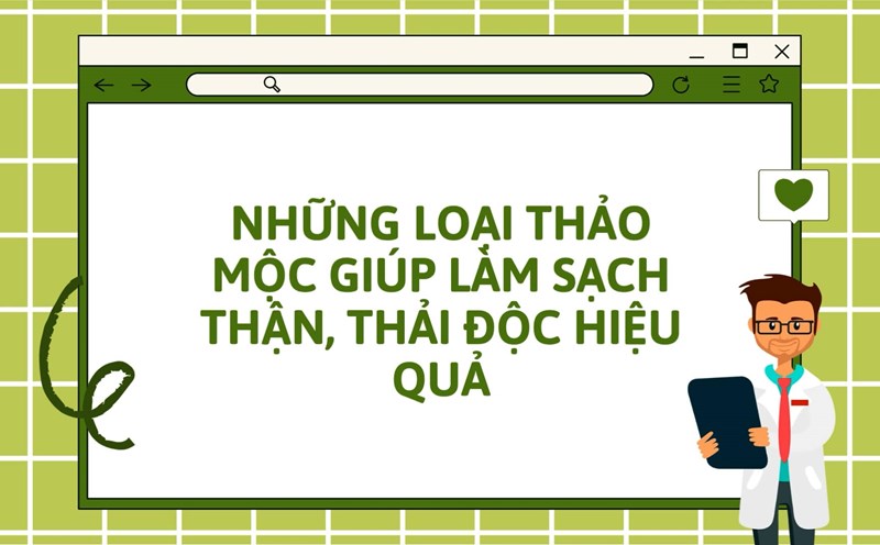 Tips for herbs that help clean the kidneys, support effective detoxification