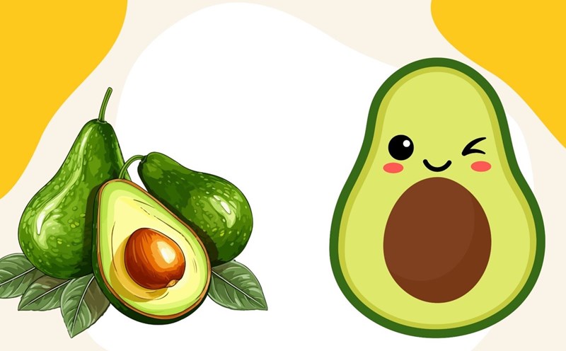 Avocado is rich in monounsaturated fats, which help enhance liver function. Graphic photo: Huong Son