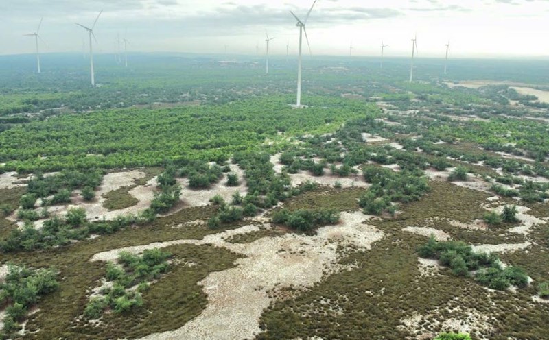 Wind power project in the old Quang Binh province. Photo: H.Nguyen