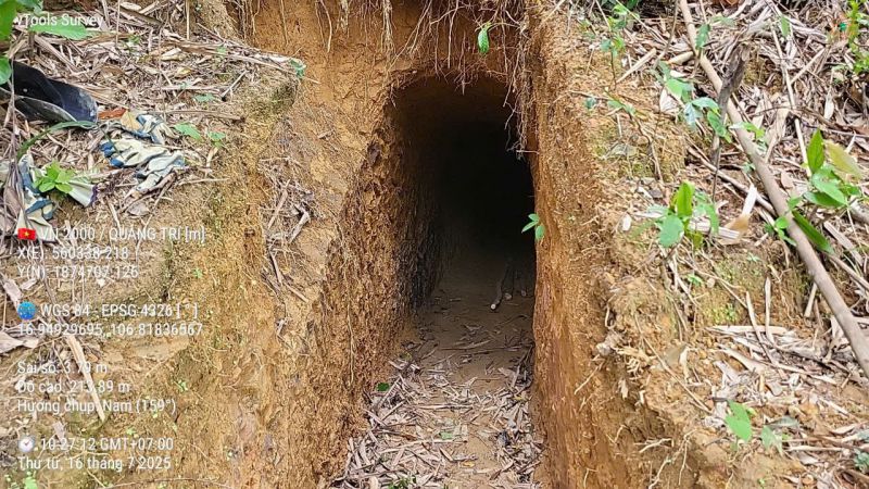 保護林の間にある違法な金のトンネル。写真:PV