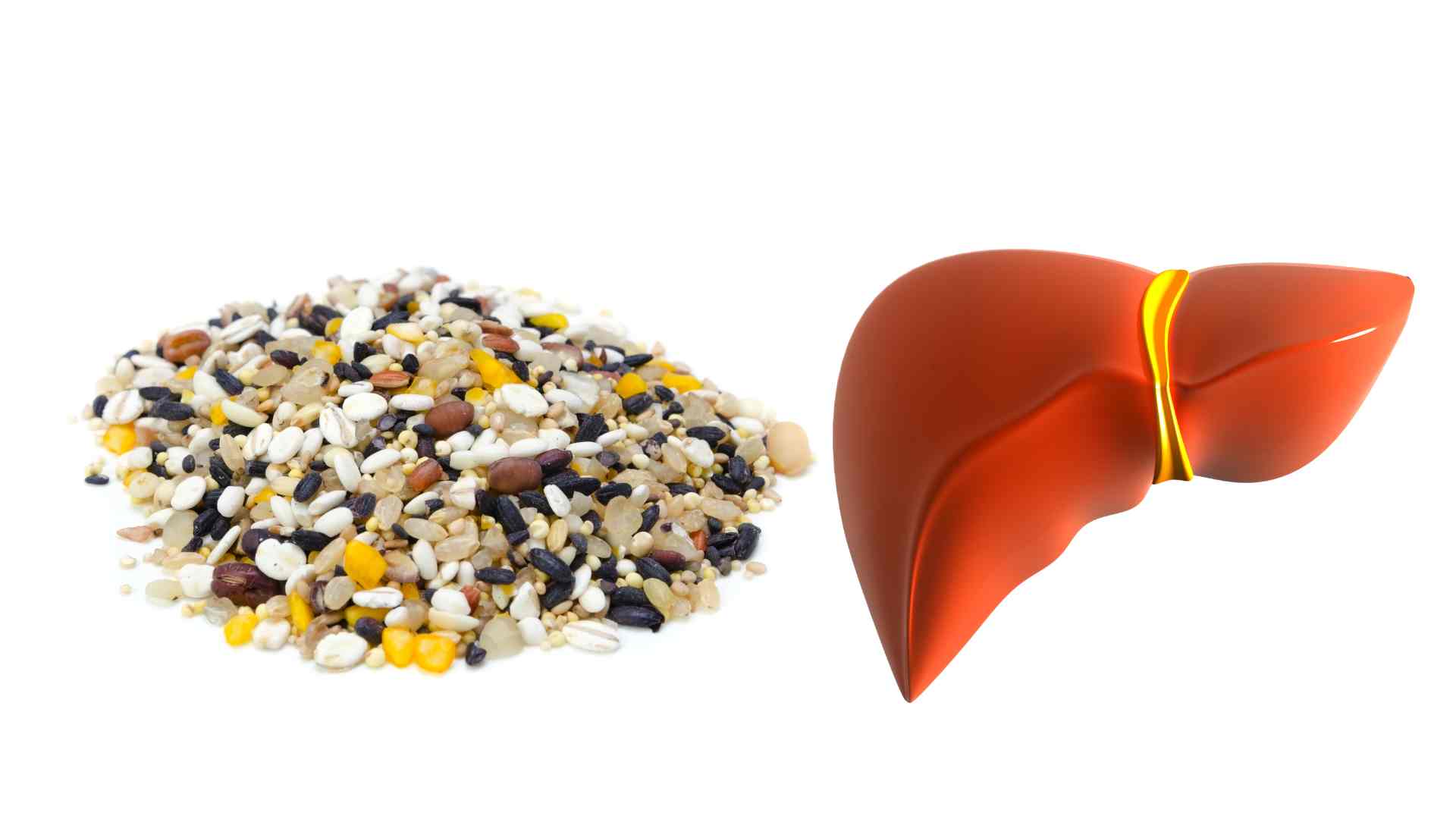 粗いグラスは肝臓に良い。グラフィック:Ha May