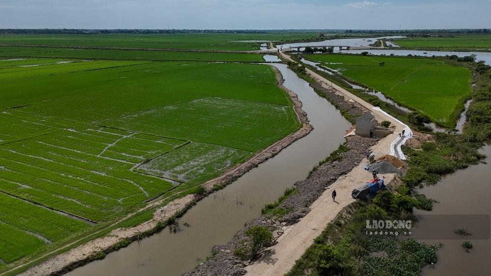 Tai vung thap trung huyen Hai Lang cu (Quang Tri) hien co hon 10.000ha lua vu he thu khong duoc dam bao an toan khi cac tuyen de bao that thu. Anh: Nguyen Luan 