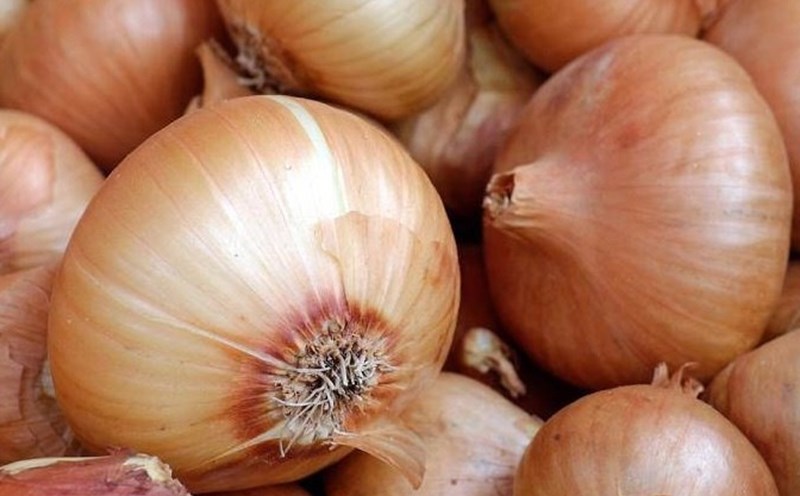 Onions are one of the foods that are good for kidney failure if eaten properly. Photo: Kieu Vu