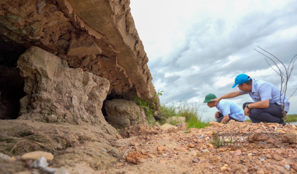 The damaged dike sections are currently being patched up and not effectively repaired. Photo: Nguyen Luan