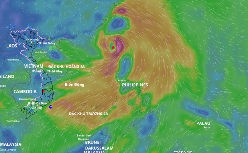 Updated location of storm Wipha at 11:00 on July 19. Source: Vietnam Disaster Monitoring System