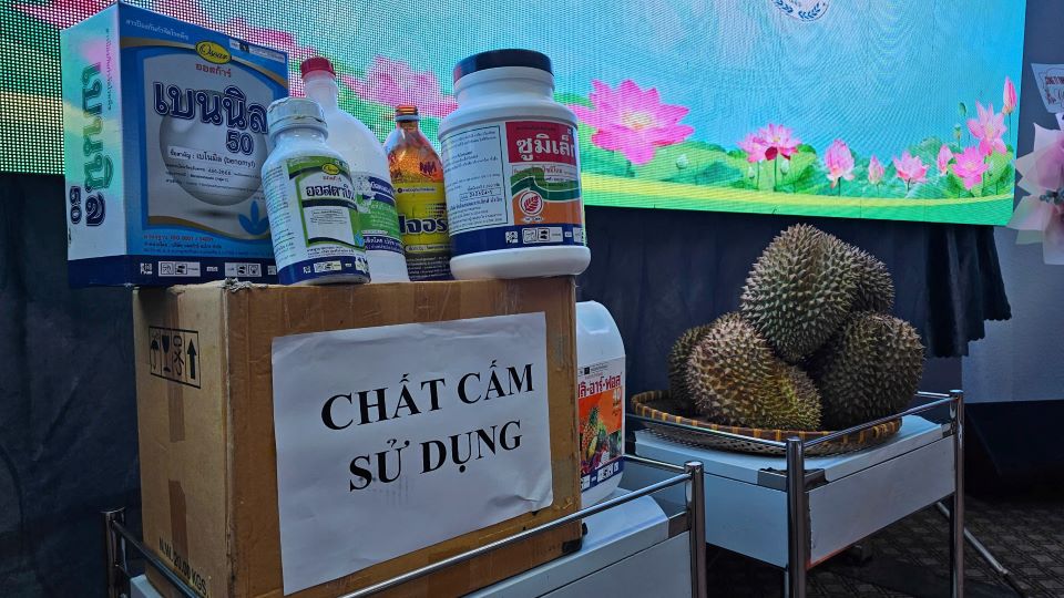 Cac chat cam khong duoc su dung doi voi sau rieng. Anh: Thanh Quynh