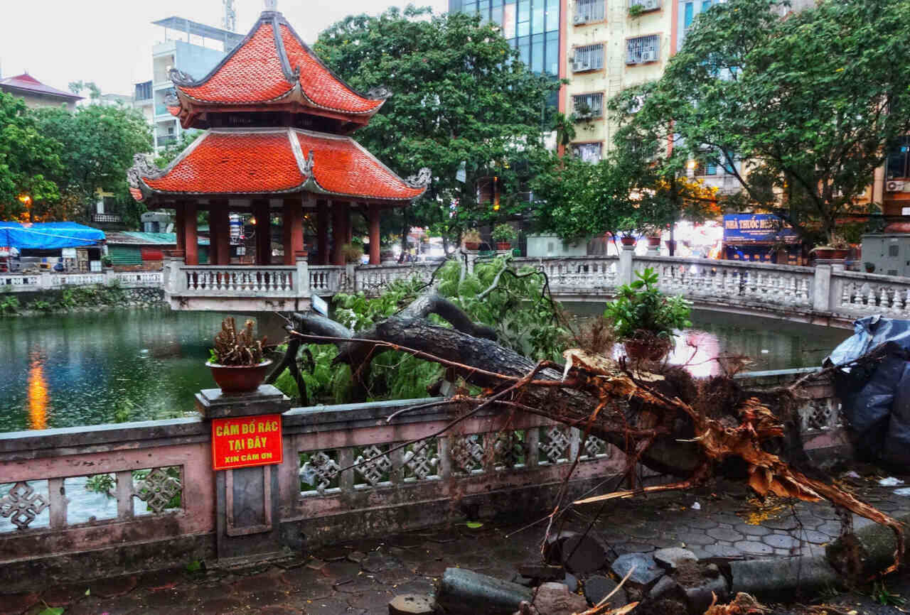 Chieu 19.7, mua lon kem gio to khien nhieu cay xanh o Ha Noi bay goc, gay canh