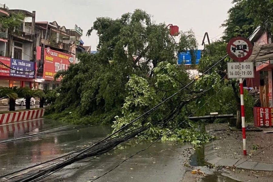 Mua lon khien nhieu cay bi quat nga, chan ngang loi di. Anh: Van Duy