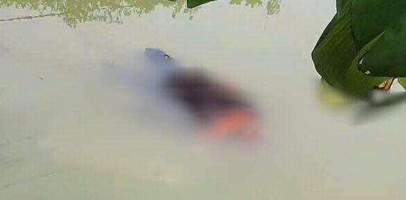 ハイフォンで被害者の遺体が発見された池の現場。住民が提供した写真。