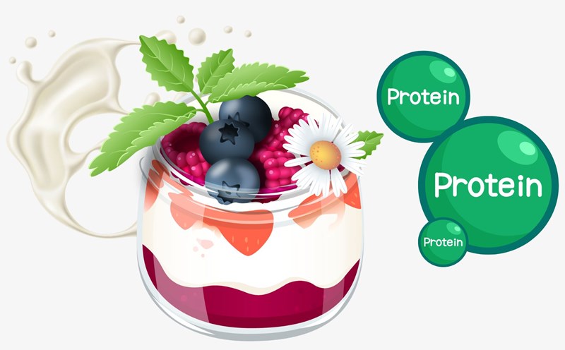 Yogurt is rich in protein. Graphics: Thanh Thanh