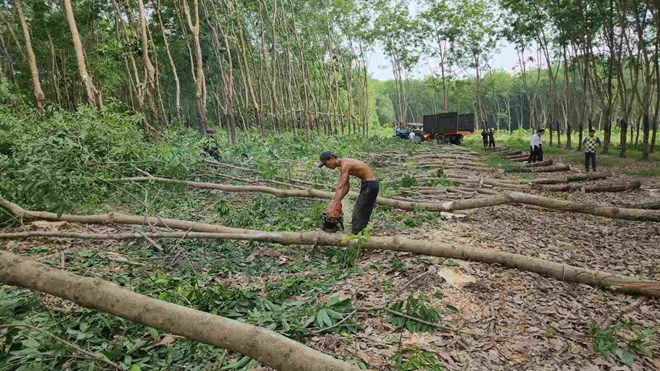 Son Hai Group issued a document opposing the approval of the expressway project package. Photo: Dinh Trong