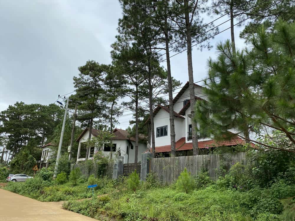 Villa Land en Mang Den al lado de los bienes perennes. Foto: Thanh Tuan