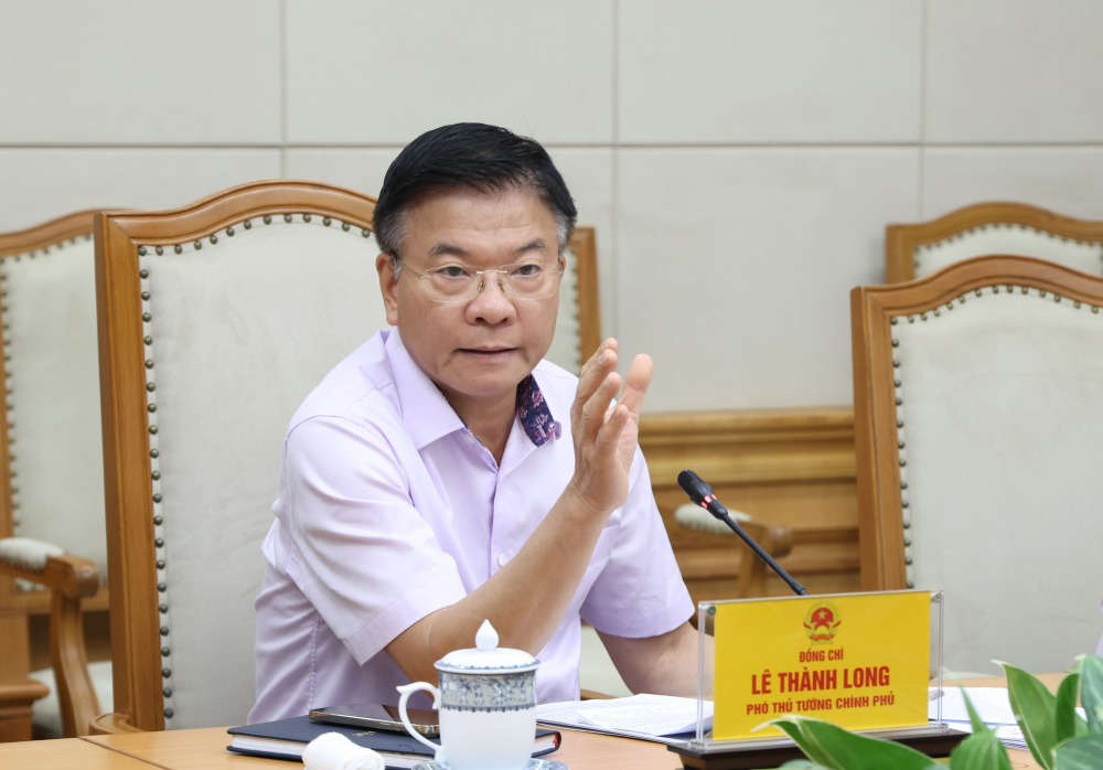 Member of the Party Central Committee, Deputy Prime Minister Le Thanh Long gave his opinion on the preparation for the Party Congress of the Ministry of Health's Party Committee. Photo: VGP
