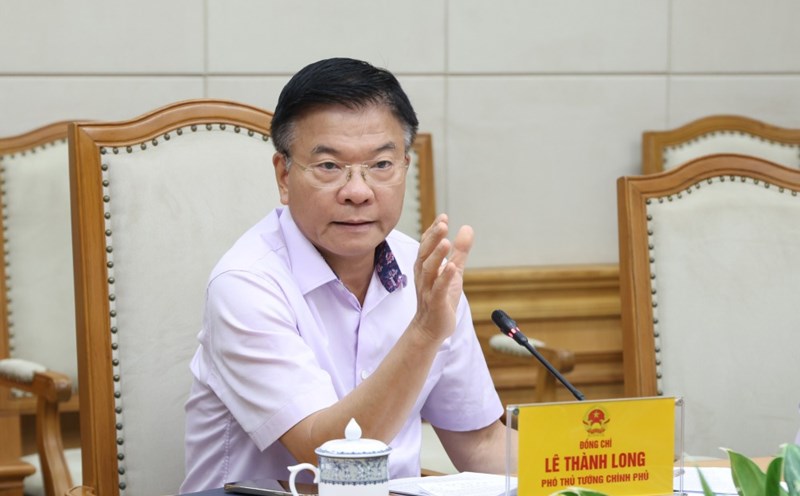 Member of the Party Central Committee, Deputy Prime Minister Le Thanh Long gave his opinion on the preparation for the Party Congress of the Ministry of Health's Party Committee. Photo: VGP