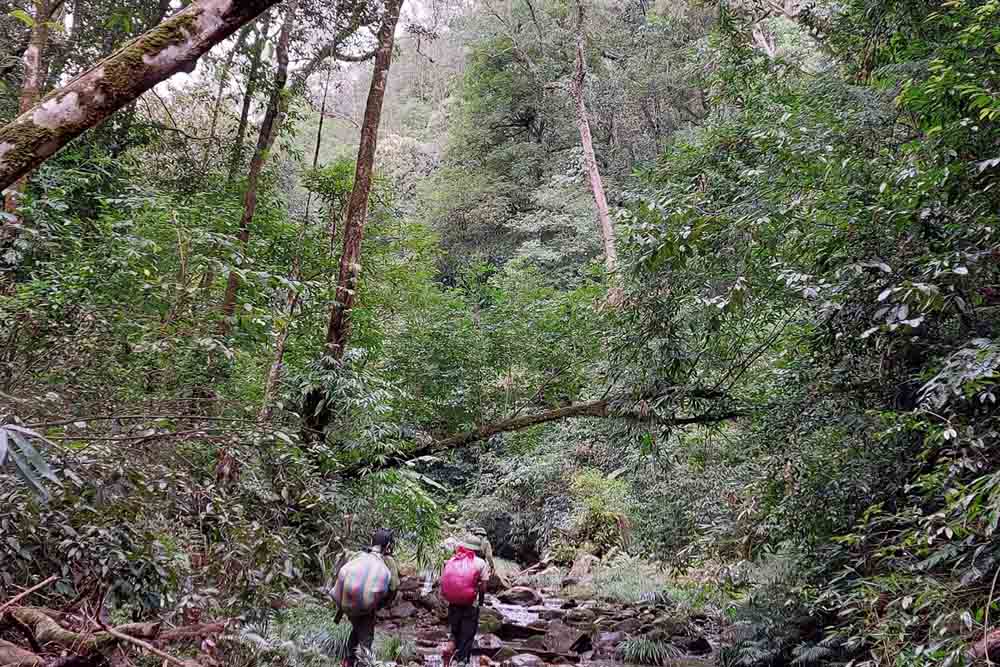 Vu Quang国立公園の荒涼とした自然は、観光客にとって魅力的になることが期待されています。写真:Tran Tuan.