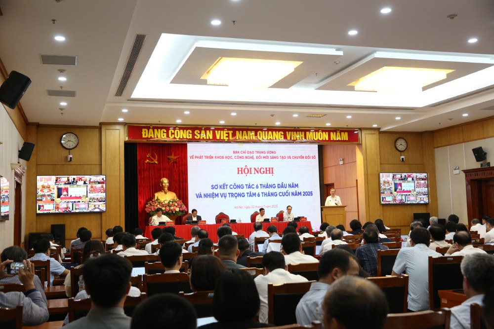 Toan canh Hoi nghi. Anh: Tran Vuong