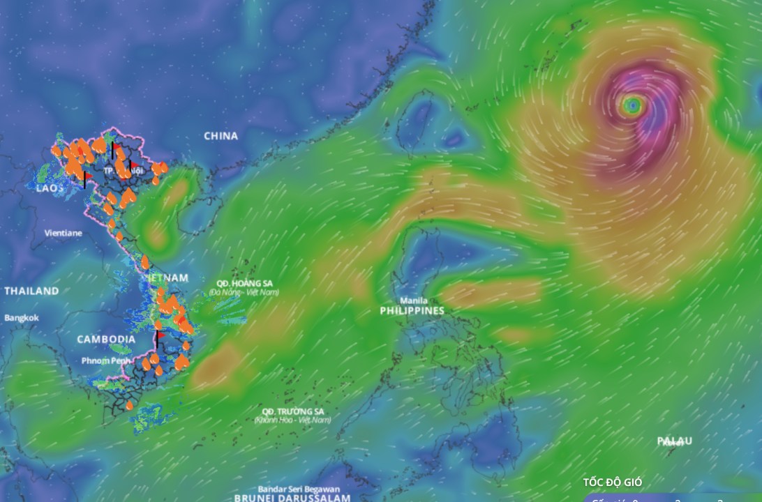 La prevision du nombre de tempetes tropicales et de depressions en 2025 et du risque d'apparition de fortes tempetes
