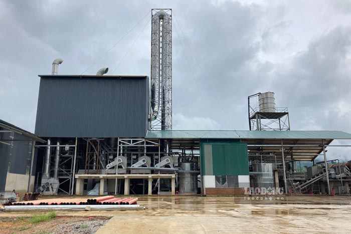 The director of the cassava starch processing factory in the case of dozens of workersetaking banners to collect debts has not yet paid their wages as promised. Photo: Quang Dat