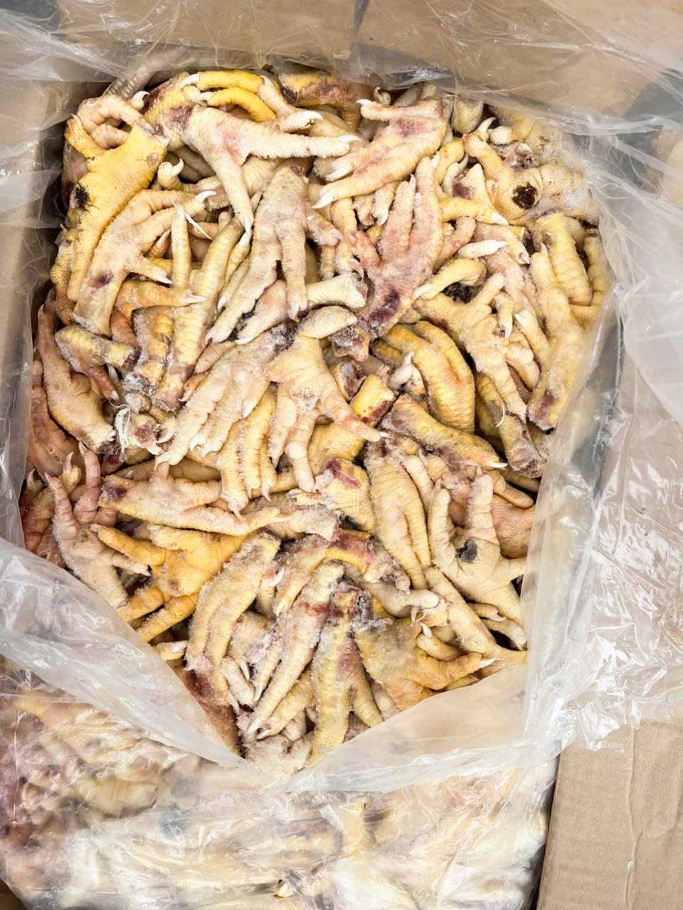 Les douanes detectent et engagent des poursuites dans une affaire de contrebande de plus de 1 400 tonnes de pattes de poulet congelees pour evasion fiscale a l'importation. Photo : Departement des douanes